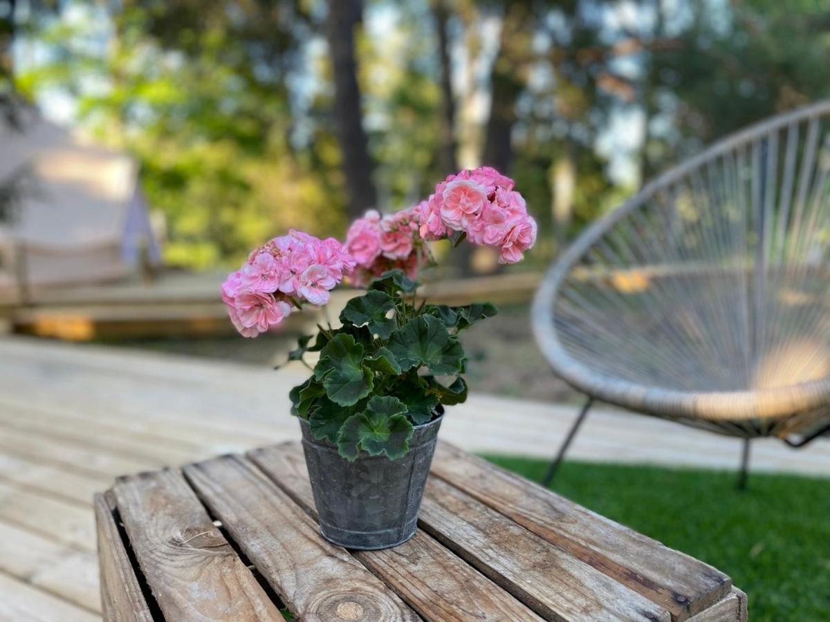 Koh Tenta A B&B In A Luxury Glamping Style Mariefred Buitenkant foto
